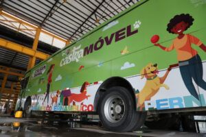 Leia mais sobre o artigo Governo de Pernambuco e Prefeitura do Jaboatão prorrogam mutirão de castração de cães e gatos 