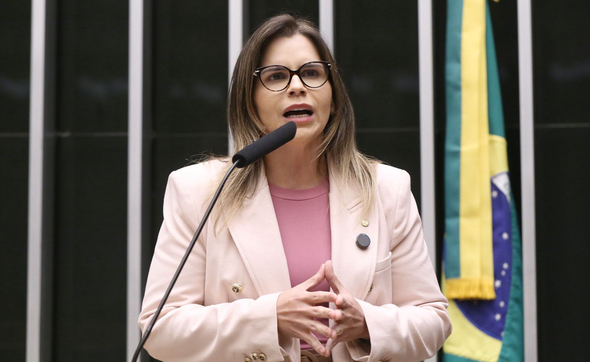 Leia mais sobre o artigo Câmara avança na proteção de meninas vítimas de violência sexual com relatoria de Clarissa Tércio