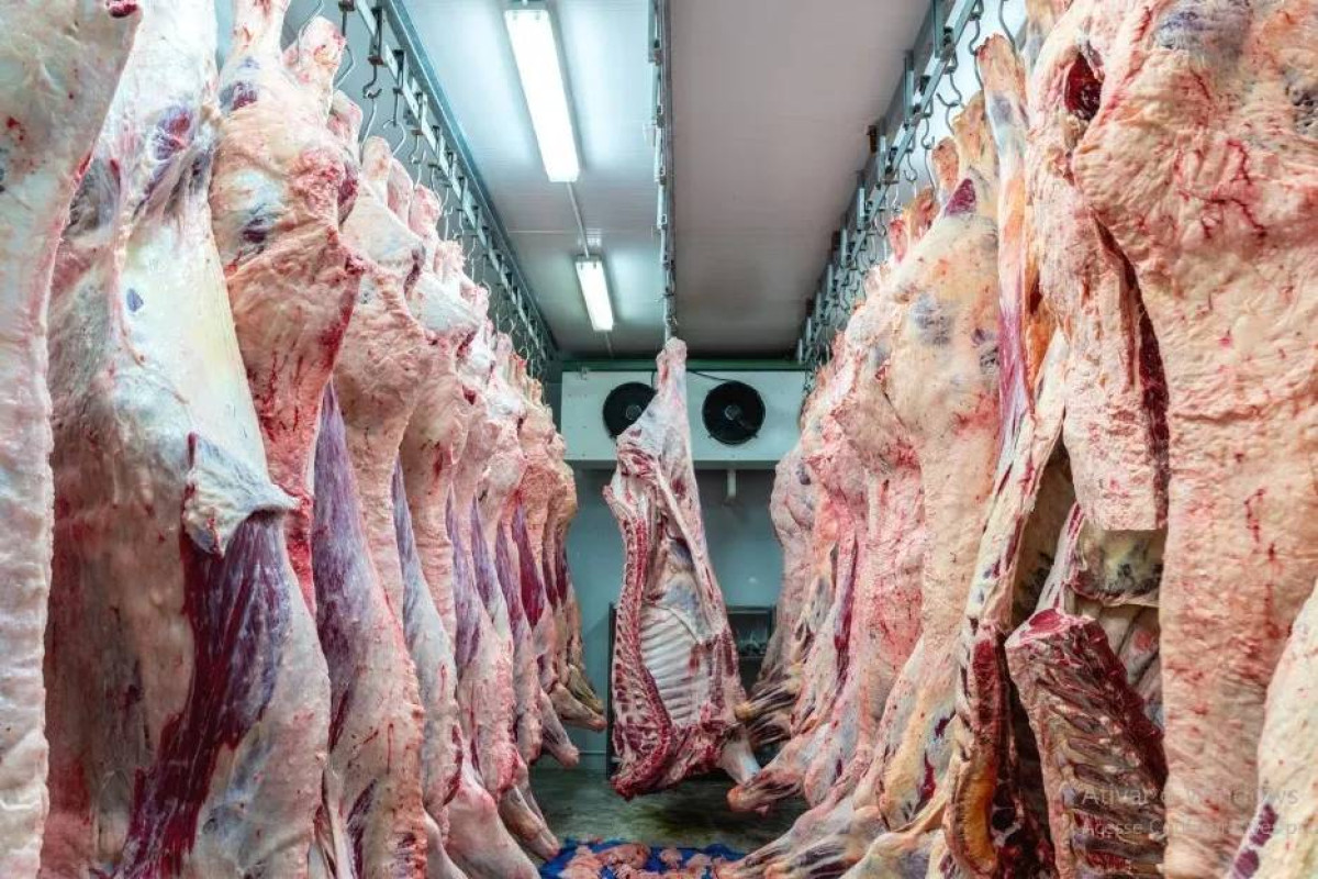 Leia mais sobre o artigo China diz que Brasil já atingiu metade da cota de carne e pode ser taxado 