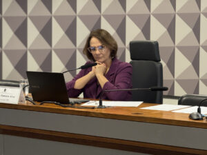 Leia mais sobre o artigo Aliados de Flávio Bolsonaro atacam Damares com publicações de conotação sexual