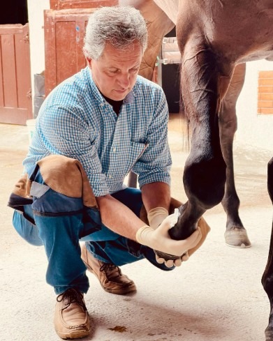 Leia mais sobre o artigo Preparação de cavalos de corrida é determinante para resultados nas pistas