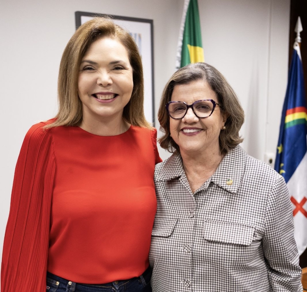 Leia mais sobre o artigo Próximas de Lula: Liana Cirne se reúne com a nova líder do governo no Senado, Teresa Leitão