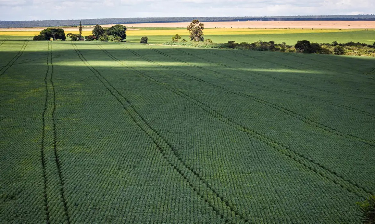 Leia mais sobre o artigo Senado aprova plano para fabricação de fertilizantes no Brasil