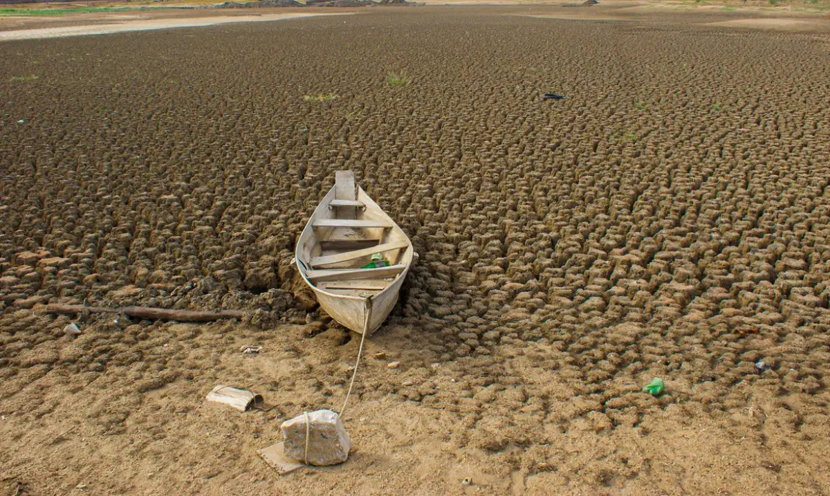 Leia mais sobre o artigo Brasil promete restaurar 163 mil km² de terras degradadas até 2030
