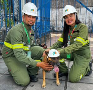 Leia mais sobre o artigo Nova campanha da Neoenergia Pernambuco conta com cão mascote ao lado de eletricistas para alertar sobre segurança