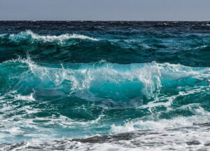 Leia mais sobre o artigo “Oceanos recebem menos de 1% do financiamento climático”, diz enviada especial da COP30