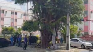 Leia mais sobre o artigo Homem em situação de rua é incluído em programa de assistência após morar em casa na árvore no Recife
