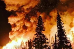 Leia mais sobre o artigo El Niño pode superar recorde de 2015 e intensificar extremos climáticos